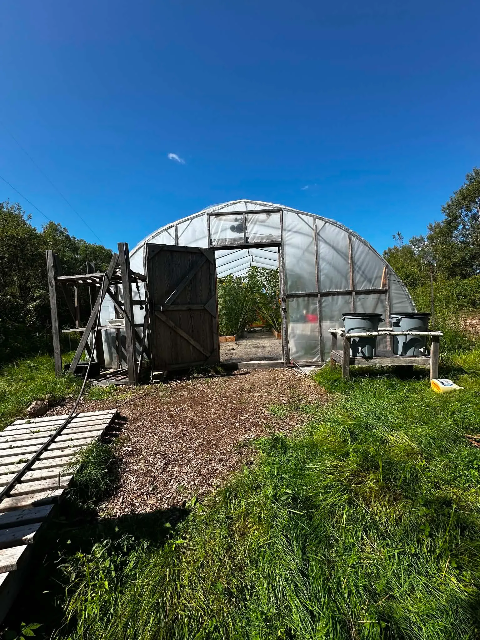 Kassandra Jones — OELF Community Greenhouse Project
