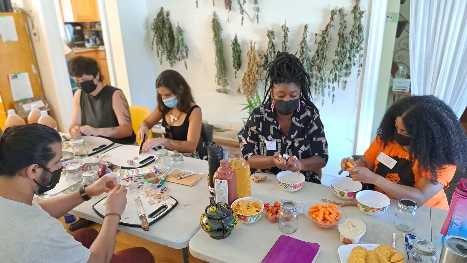 Barbara Saldana — Plants Guide Us