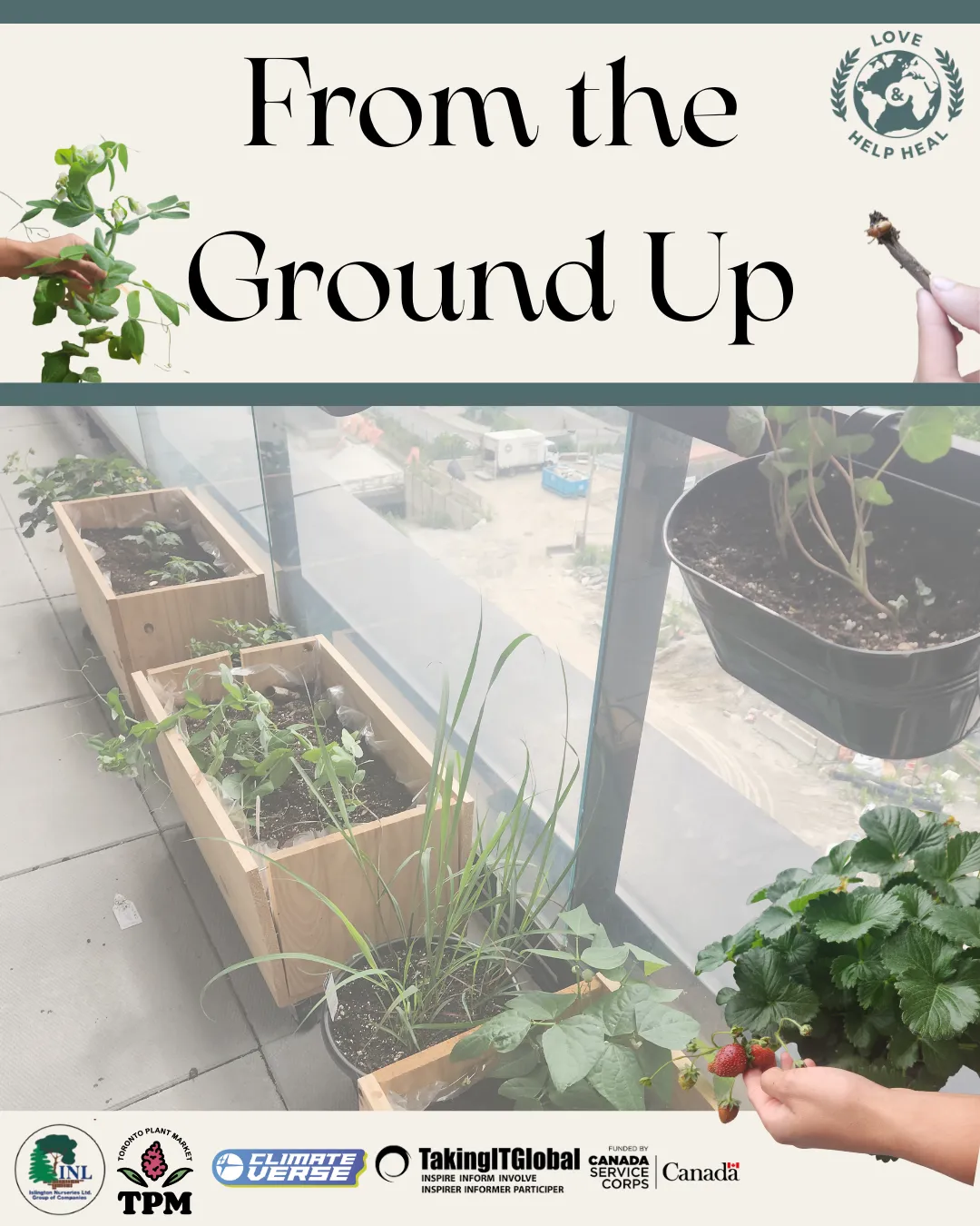 Tayyaba Shahzad — From the Ground Up